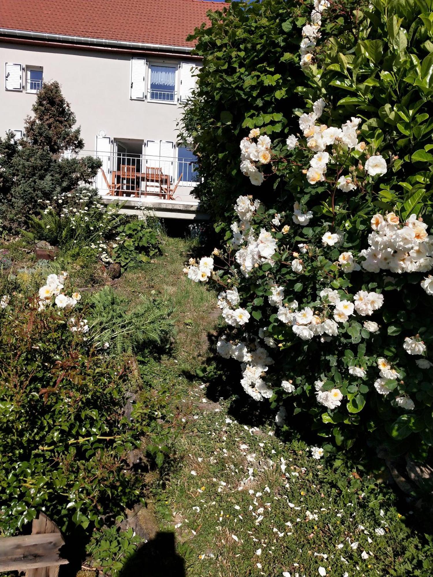 Gîte LES PAPILLONS Bining Exterior foto
