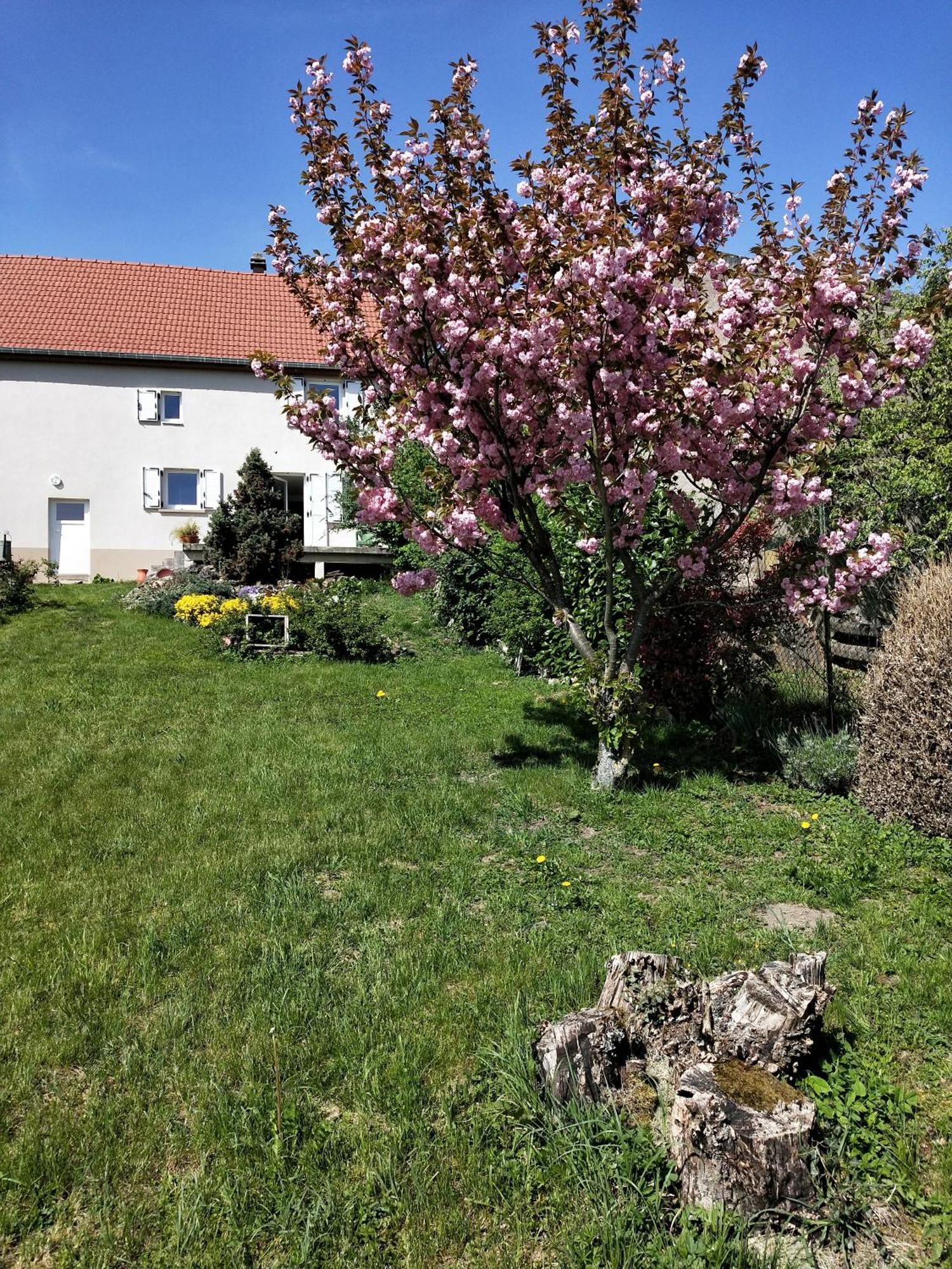 Gîte LES PAPILLONS Bining Exterior foto