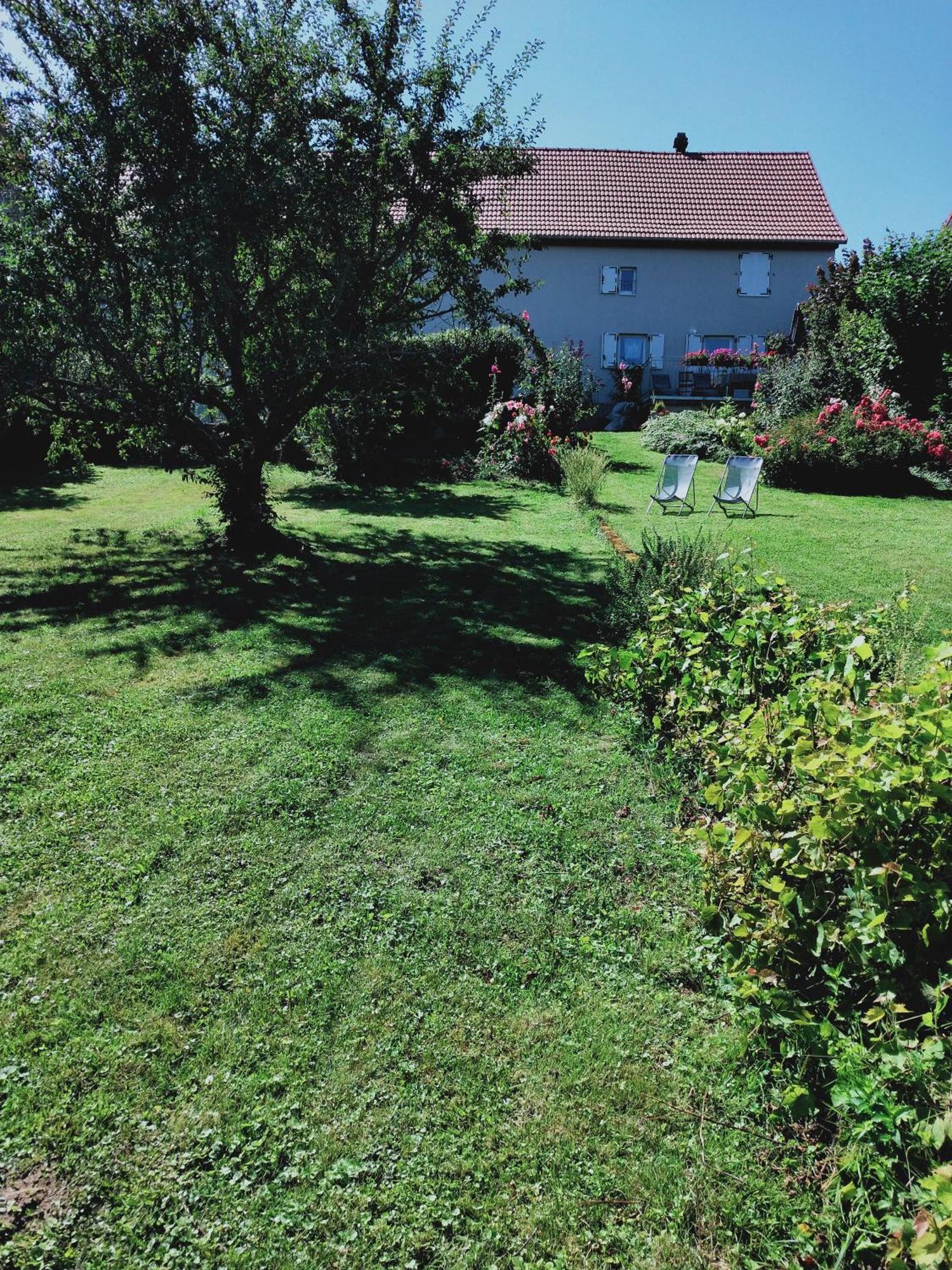 Gîte LES PAPILLONS Bining Exterior foto