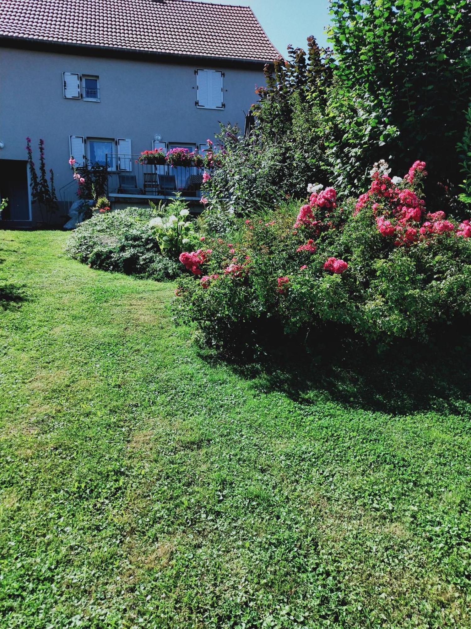 Gîte LES PAPILLONS Bining Exterior foto